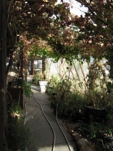 Greenhouse at Solar Ark Greenhouse at Solar Ark