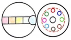 The Infinite Games: Generative Capacity Building - Two lenses in combination