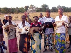 People Who Care: Dr. Cary Rasof - People Who Care: Dr. Cary Rasof - African grannies holding goats