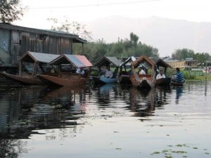 Flotilla of shikaras on Dal Lake