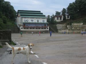TCV - Tibetan Children Village