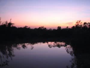 The sun setting over Sadhana Forest The sun setting over Sadhana Forest