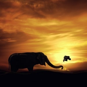 LIKE I WANT IT TO BE: An interview with photographer Caras Ionut