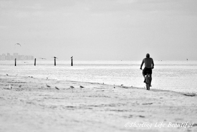 COMING INTO IT: A story by Max Reif 15 biking on the beach
