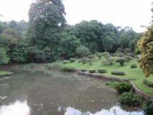 Botanic Gardens in Kandy, Sri Lanka