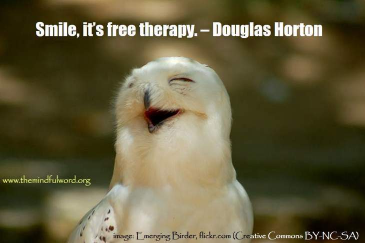 funny-quotes-freedom-bird.jpg