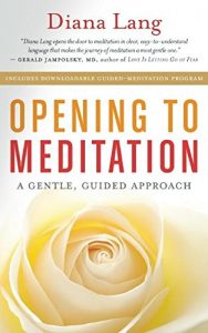 LEARNING TO BE ALONE: Accessing your inner stillness through meditation 16 opening to meditation