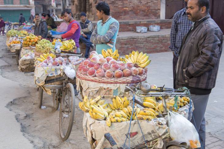 MICROFRANCHISING: The ultimate way to think globally but act locally 14 Bike fruit sellers in Kathmandu, Nepal