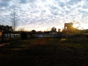Farm scene at Hare Krishna community Argentina