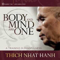Audio resources 13 Thich Nhat Hanh Body and Mind Are One audio