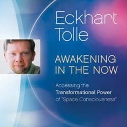 Audio resources 24 Eckhart Tolle Awakening in the Now audio
