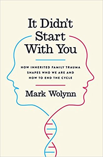 IT DIDN'T START WITH YOU: How a traumatic family history can both hurt and heal us 17 Front cover It Didn't Start With You book - It didn't start with you