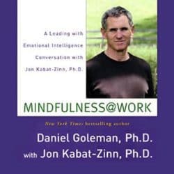 Audio resources 17 Jon Kabat-Zinn Mindfulness at Work audio