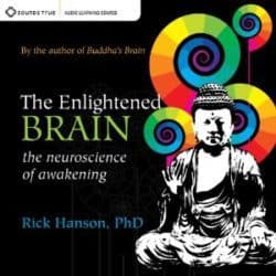 Audio resources 51 Rick Hanson The Enlightened Brain audio