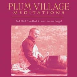 Audio resources 32 Plum Village Meditations audio