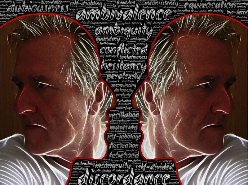 Ambivalence: Creative Energy That Leads to Awakening