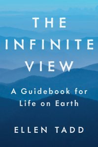 the infinite view
