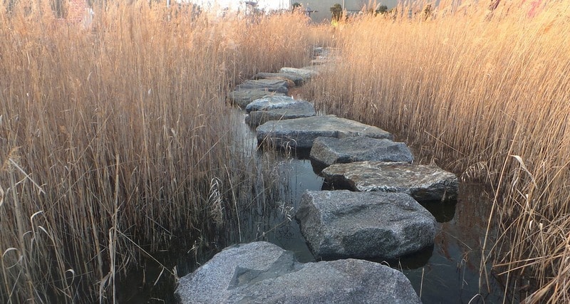 stepping stones