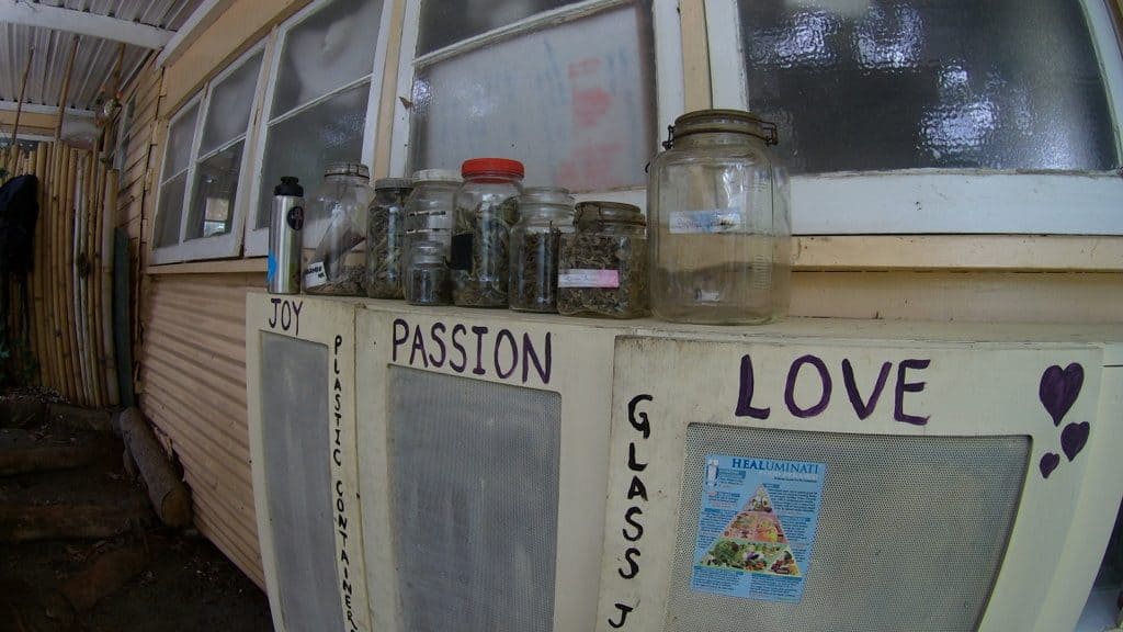 shelf with jars of herbs