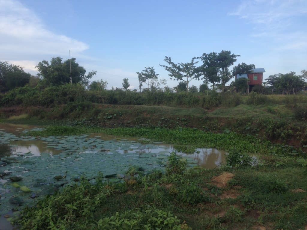 Creek in Tapon, Cambodia.