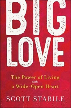 Front cover of book - Big Love