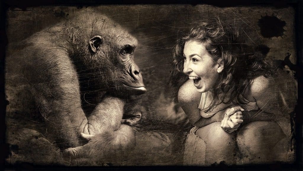 girl laughing next to a gorilla