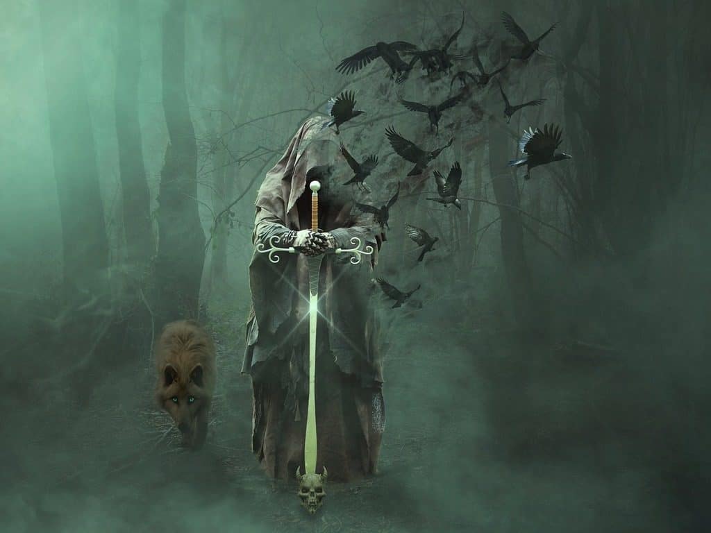 The land of woo woo In search of the afterlife4