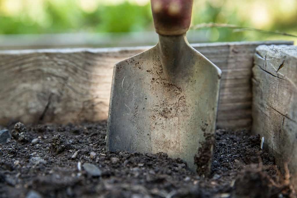 Gardening spade in earth