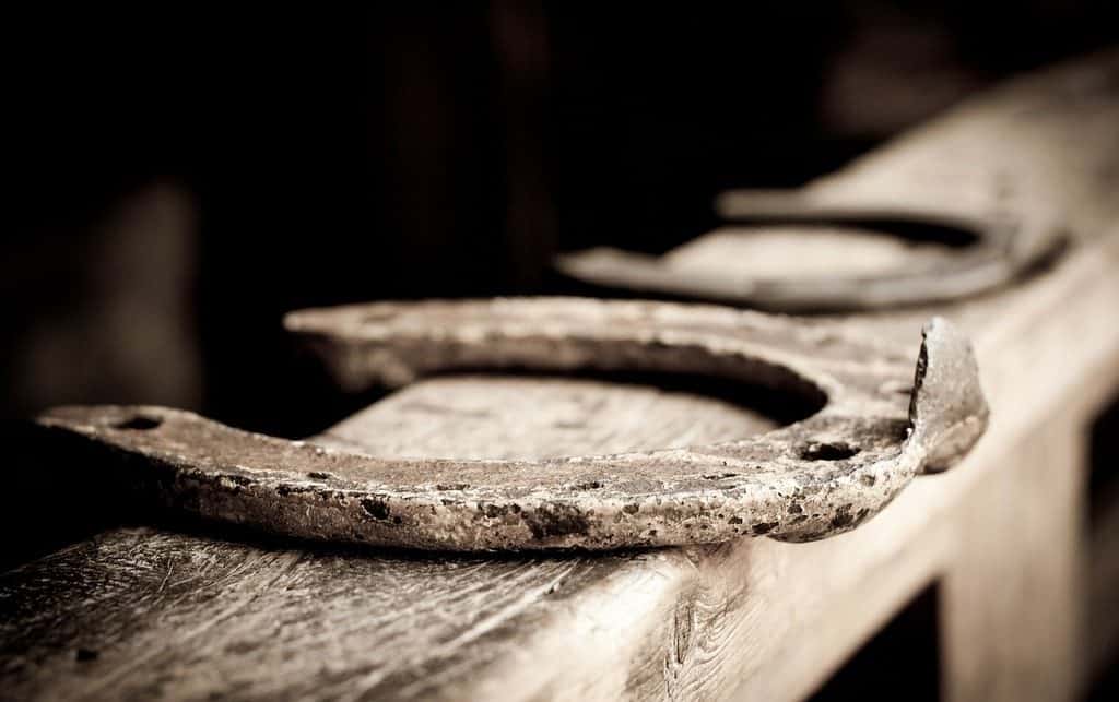 horseshoes on plank