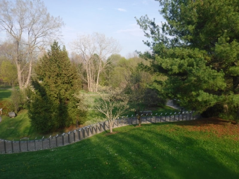 photos poems payne grass