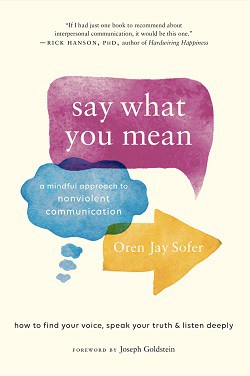 say what mean cover