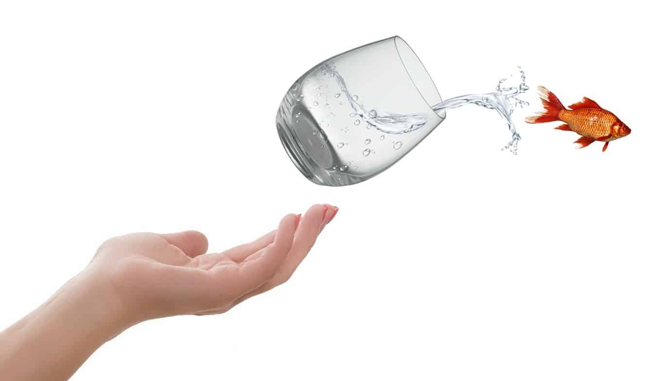 HOW I FOUND MY TOMORROW: Revisiting the person haunted by mental illness 15 FINDING MY TOMORROW Revisiting the person haunted by mental illness