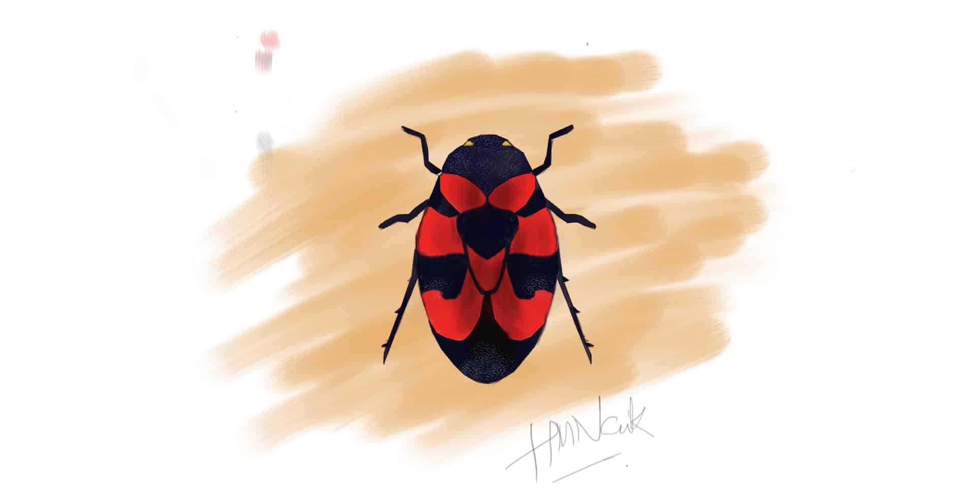 FrogHopper