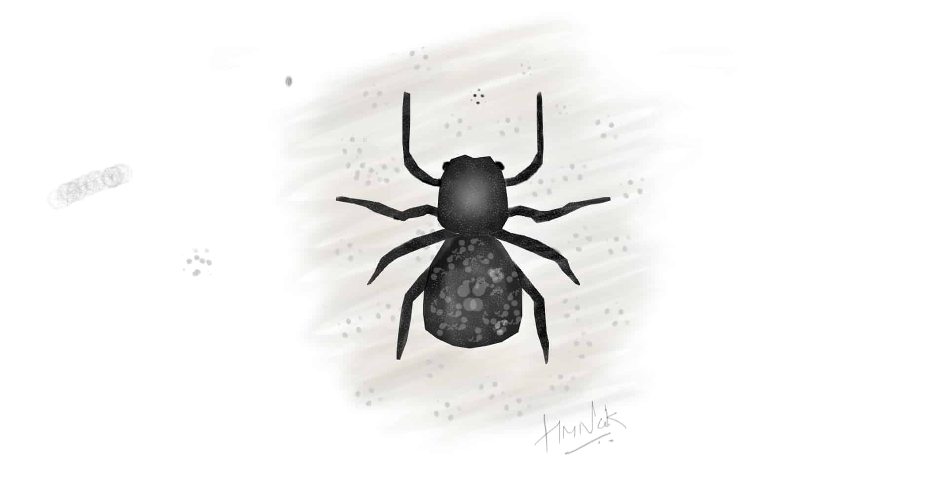 Spider