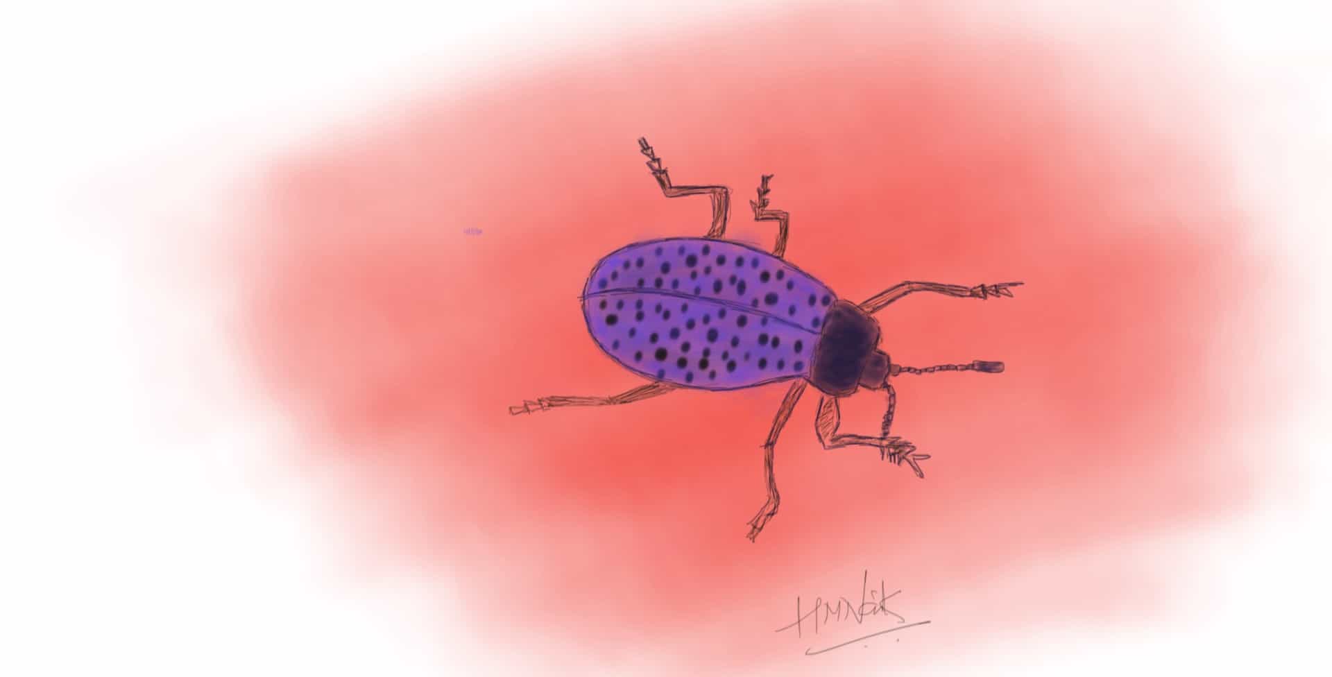 bug