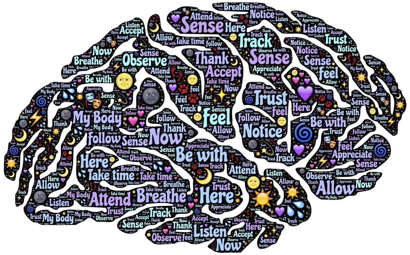 MEDITATION CLUB: A guide to starting an in-school meditation group for students and faculty 14 Drawing of brain with words and icons about meditation on it - Meditation club