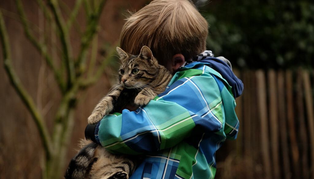 friendship 2112623 1920