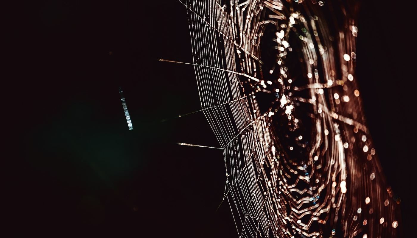 HI-FI(VE) IS BETTER THAN WI-FI: The benefits of internet fasting 14 HI FIVE IS BETTER THAN WI FI Why we should go on Internet fasting2