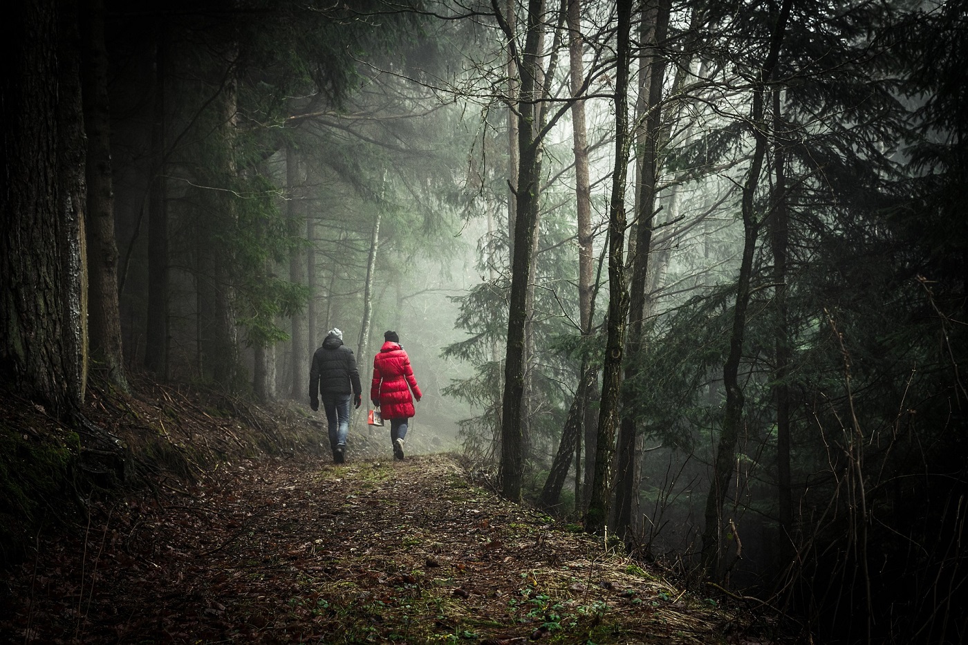Couple walking in forest