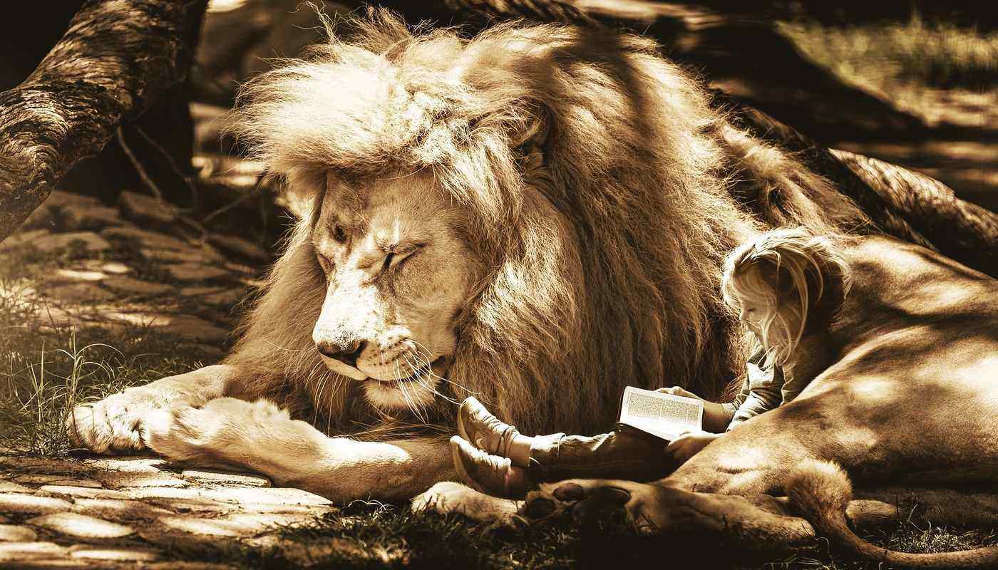 PARENTAL ATTACHMENT Donald Trump an example of non fulfilment of that childhood need 1 1