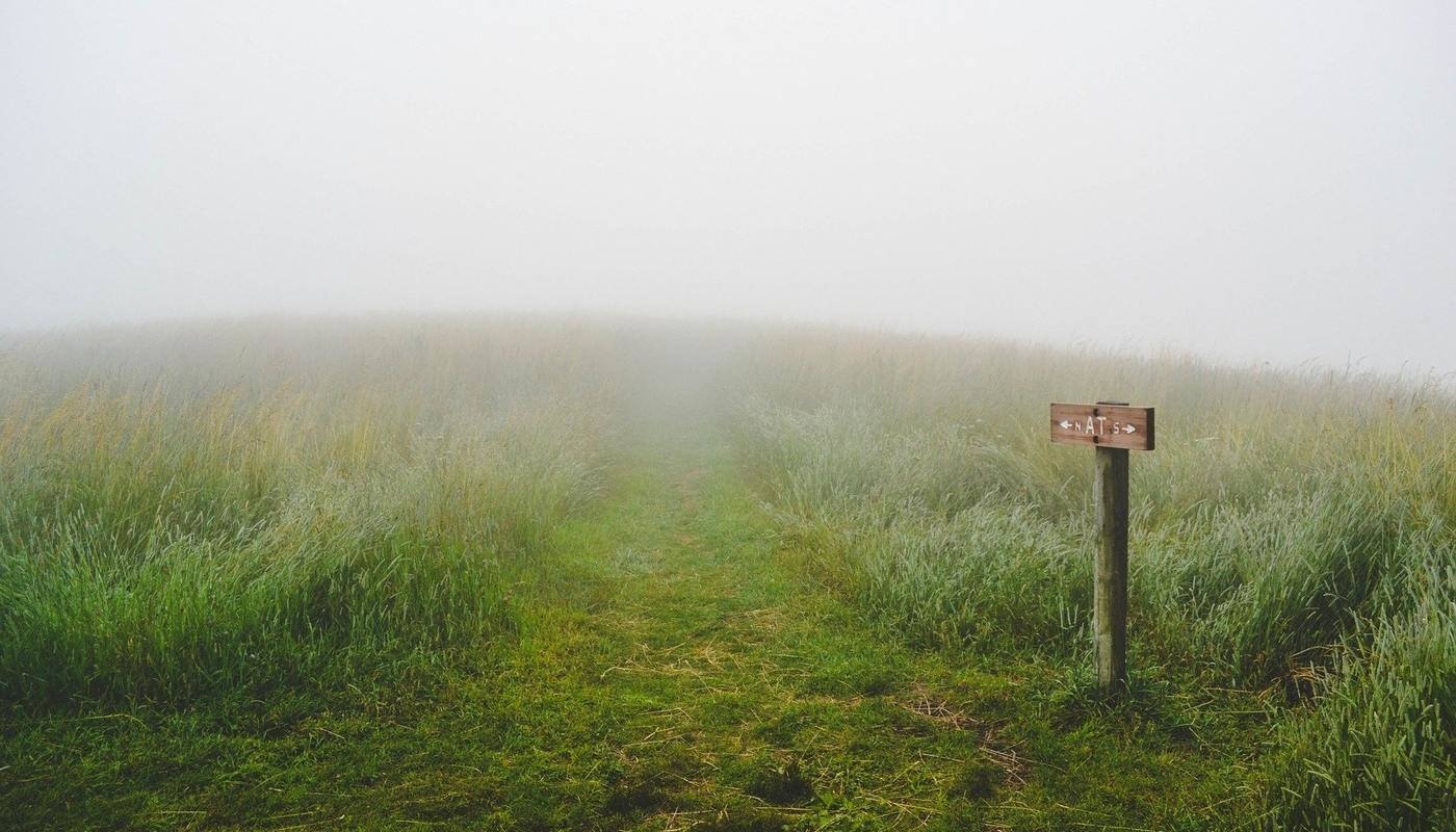 grassy path with sign